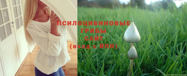 крисы Абинск